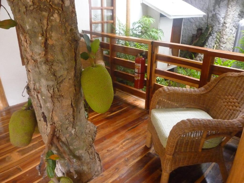 Palo Alto Bed & Breakfast Puerto Princesa Екстер'єр фото